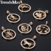 Trendsmax-12-Zodiac-Constellations-Pendant-Necklaces-For-Women-Men-585-Rose-Gold-Cubic-Zirconia-Jewelry-2018-1