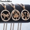 Trendsmax-12-Zodiac-Constellations-Pendant-Necklaces-For-Women-Men-585-Rose-Gold-Cubic-Zirconia-Jewelry-2018