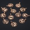 Zodiac-Sign-12-Constellation-Pendant-Necklace-for-Women-Men-585-Rose-Gold-Womens-Necklace-Mens-Chain-3