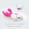 Sex-Products-Erotic-Toys-For-Adults-BDSM-Sex-Bondage-Set-Dildo-Rabbit-Nipple-Vibrator-Vaginal-Clitoral-4